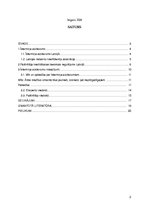 Referāts 'Īstermiņa aizdevumi', 2.