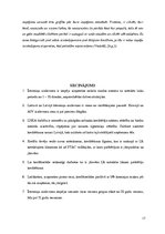 Referāts 'Īstermiņa aizdevumi', 17.