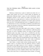 Eseja 'Globalizācijas ietekme uz demokratizācijas attīstību: pasaules un Latvijas piere', 2.