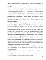 Eseja 'Globalizācijas ietekme uz demokratizācijas attīstību: pasaules un Latvijas piere', 4.