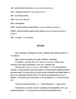 Diplomdarbs 'Nieres audzēju morfoloģiskie varianti un stadiju ietekmējošie faktori', 8.