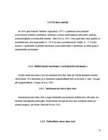 Diplomdarbs 'Nieres audzēju morfoloģiskie varianti un stadiju ietekmējošie faktori', 19.