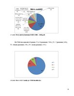 Diplomdarbs 'Nieres audzēju morfoloģiskie varianti un stadiju ietekmējošie faktori', 45.
