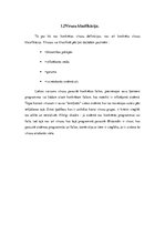 Referāts 'Datorvīrusi', 7.