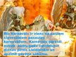 Prezentācija 'Brazīlijas Rio karnevāls', 2.