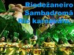 Prezentācija 'Brazīlijas Rio karnevāls', 11.