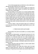 Diplomdarbs 'Kokvilnas un poliamīda šķiedru auduma izstrādāšanas tehnoloģiskās īpašības', 19.