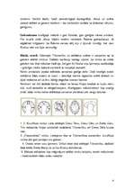 Referāts 'Cilvēka ķermeņa daļu simboliskā nozīme sakrālajā mākslā', 3.