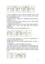 Referāts 'Cilvēka ķermeņa daļu simboliskā nozīme sakrālajā mākslā', 4.