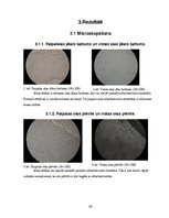 Referāts 'Vistas un paipalas olas', 17.