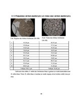 Referāts 'Vistas un paipalas olas', 19.