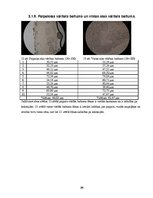 Referāts 'Vistas un paipalas olas', 20.