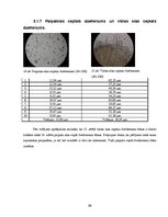 Referāts 'Vistas un paipalas olas', 21.