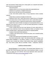 Referāts 'Valsts kontroles loma un kompetence', 12.