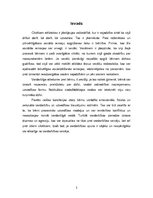 Referāts 'Socializēšanās process. Vardarbībā cietušie bērni', 2.