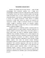 Referāts 'Socializēšanās process. Vardarbībā cietušie bērni', 5.