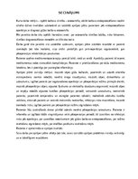 Referāts 'Aprūpes plāns pacientam ar gūžas locītavas osteoartrītu', 39.