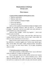 Konspekts 'Piliens balzama', 1.