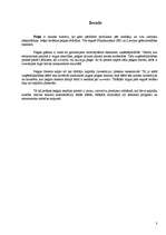 Referāts 'Peļņa un tās analīze', 3.