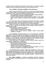 Referāts 'Peļņa un tās analīze', 25.