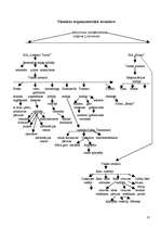 Prakses atskaite 'Hotel "Rīga" atskaite par praksi', 9.