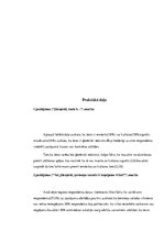 Referāts 'Ķermeņa valodas nozīme saskarsmē', 2.