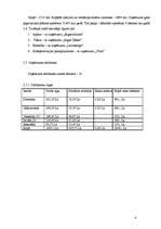 Biznesa plāns 'Kafejnīca "Mix"', 4.