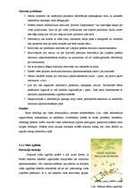 Referāts 'Vides komunikācijas attīstība manā dzīves vietā', 11.