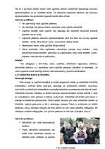 Referāts 'Vides komunikācijas attīstība manā dzīves vietā', 12.