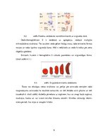 Referāts 'Sirpjveida šūnu anēmija', 9.