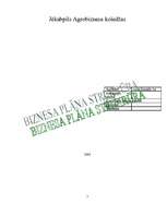 Referāts 'Biznesa plāna struktūra', 1.