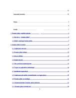 Referāts 'Biznesa plāna struktūra', 3.