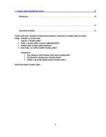 Referāts 'Biznesa plāna struktūra', 4.