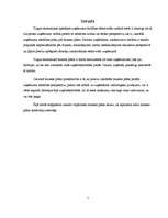 Referāts 'Biznesa plāna struktūra', 5.