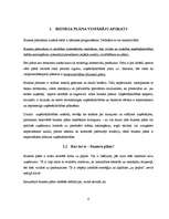 Referāts 'Biznesa plāna struktūra', 6.