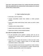 Referāts 'Biznesa plāna struktūra', 7.