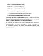 Referāts 'Biznesa plāna struktūra', 8.