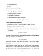 Referāts 'Biznesa plāna struktūra', 10.