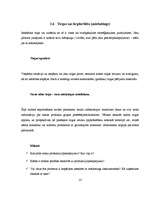 Referāts 'Biznesa plāna struktūra', 14.