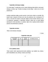 Referāts 'Biznesa plāna struktūra', 17.