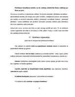 Referāts 'Biznesa plāna struktūra', 18.