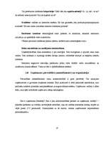 Referāts 'Biznesa plāna struktūra', 19.