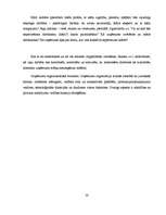 Referāts 'Biznesa plāna struktūra', 20.