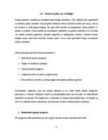 Referāts 'Biznesa plāna struktūra', 21.