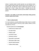 Referāts 'Biznesa plāna struktūra', 22.