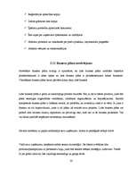 Referāts 'Biznesa plāna struktūra', 26.