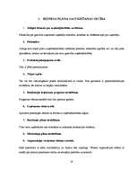 Referāts 'Biznesa plāna struktūra', 28.