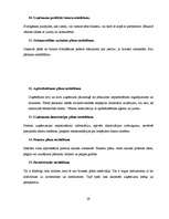 Referāts 'Biznesa plāna struktūra', 29.