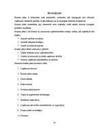 Referāts 'Biznesa plāna struktūra', 30.