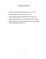 Referāts 'Biznesa plāna struktūra', 32.